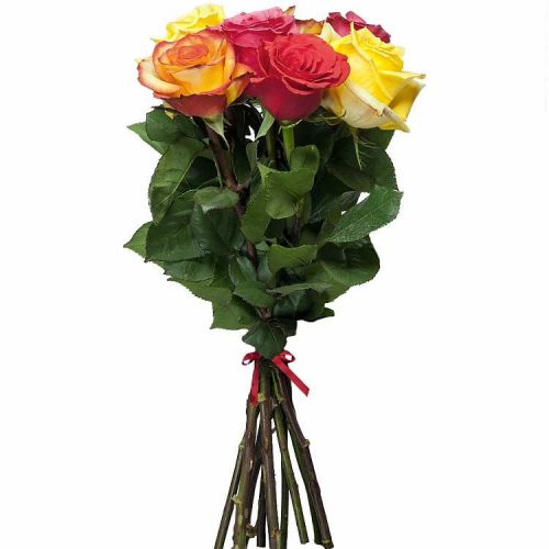 Заказать 7 разноцветных роз с доставкой по Тынде
